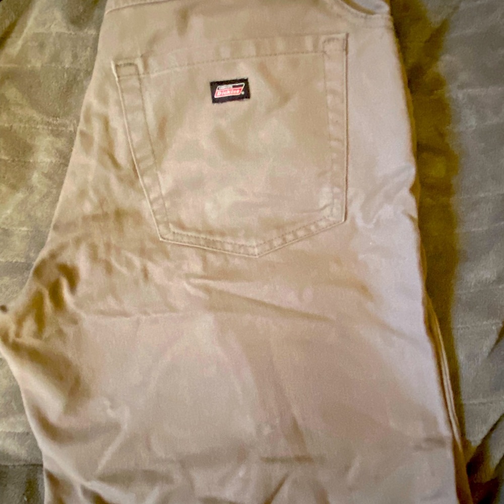 Mens 34 Dickies shorts